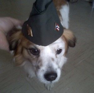 Meet your Posher, Bubi